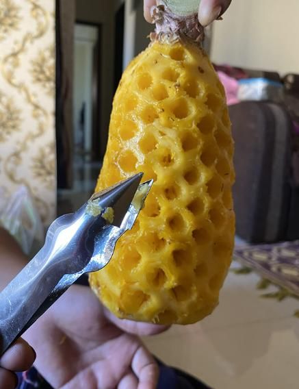 Stainless Steel Pineapple Eye Remover Clip�